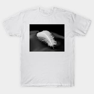 White Feather T-Shirt